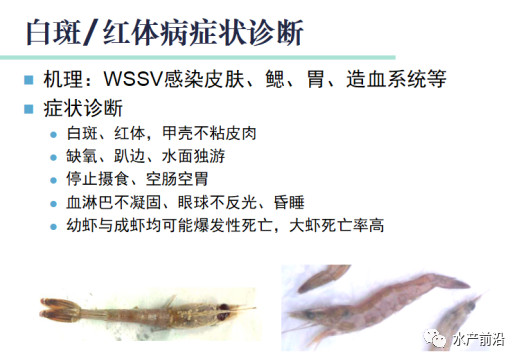 微信图片_20180502142711.jpg