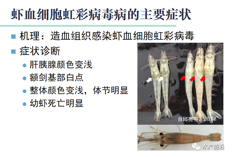 微信图片_20180502142717.jpg